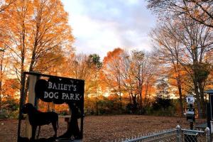 Bailey's Dog Park