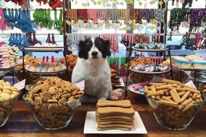 Woof Gang Bakery & Grooming, The Villages