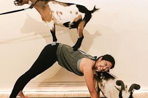 Puppy Yoga at Laughing Frog Yoga