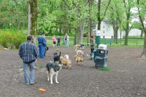 Lakeside Dog Park