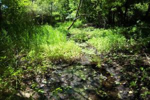 Gedney Park Off Leash Dog Area