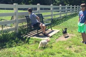 Brooksedge Dog Park