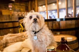 Ole Smoky Moonshine Barn