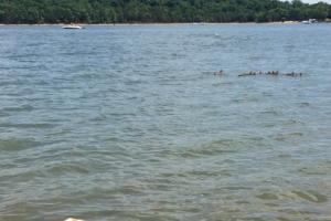 Smith Springs Recreational Area