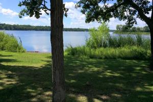 Bald Eagle Otter Lake Regional Dog Park
