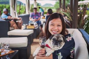 Clos Du Val Winery