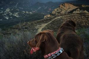 Stunt High Trail to Saddle Peak