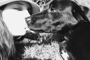 Canine Peace of Mind