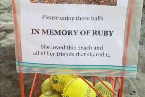 Port Jefferson Public Beach and Dog Park
