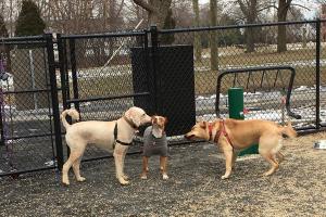 Medford Dog Park