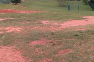Flaherty Dog Park