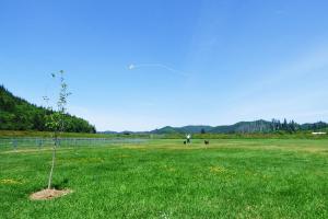 Champion Park