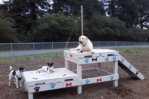 Fortuna Dog Park