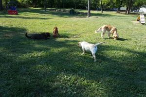 Winchester Dog Park at Jim Barnett Park