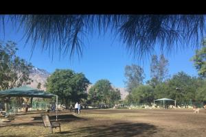 Palm Springs Dog Park
