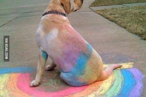 Wiggly Field at Sky River Park