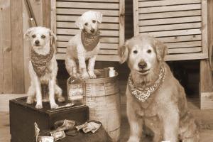 Jackson Hole's Old Time Photos