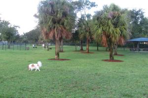 Mizner Bark - Boca Raton Dog Park
